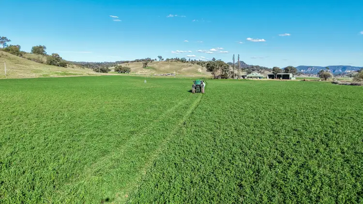 Fifth view of Homely rural property listing, "Budden"/6646 Bylong Valley Way, Bylong NSW 2849