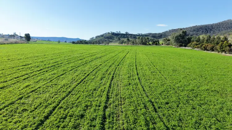 Sixth view of Homely rural property listing, "Budden"/6646 Bylong Valley Way, Bylong NSW 2849