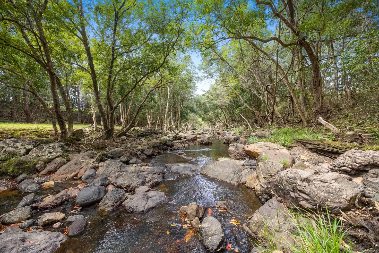 Main view of Homely house listing, 594 Image Flat Rd, Kureelpa QLD 4560