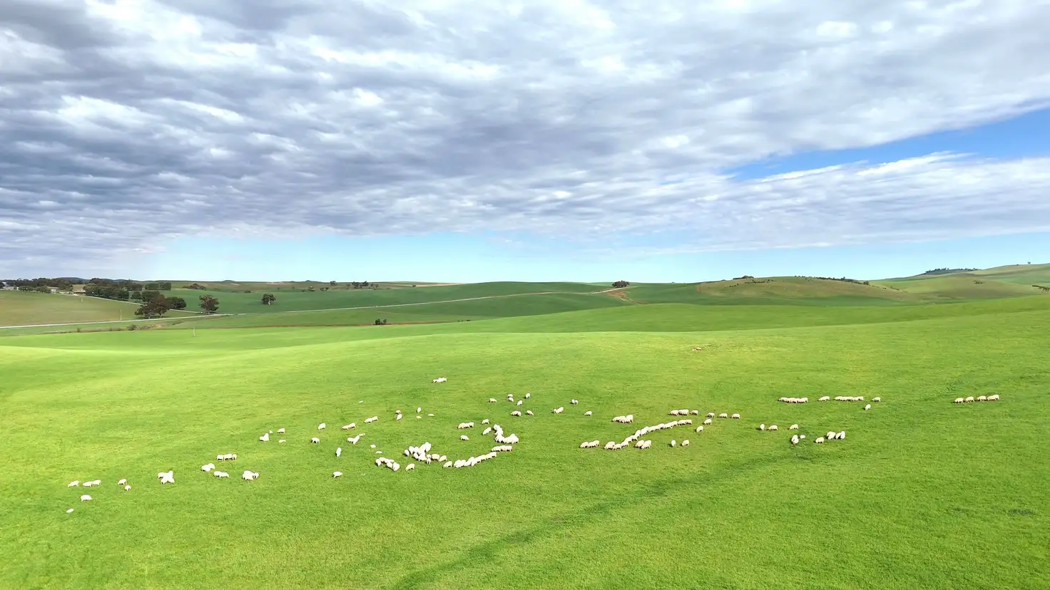 Main view of Homely rural property listing, 'Broughton Valley' 1 Euromina Road, Broughton River Valley SA 5454