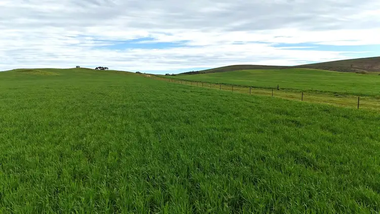 Fourth view of Homely rural property listing, 'Broughton Valley' 1 Euromina Road, Broughton River Valley SA 5454