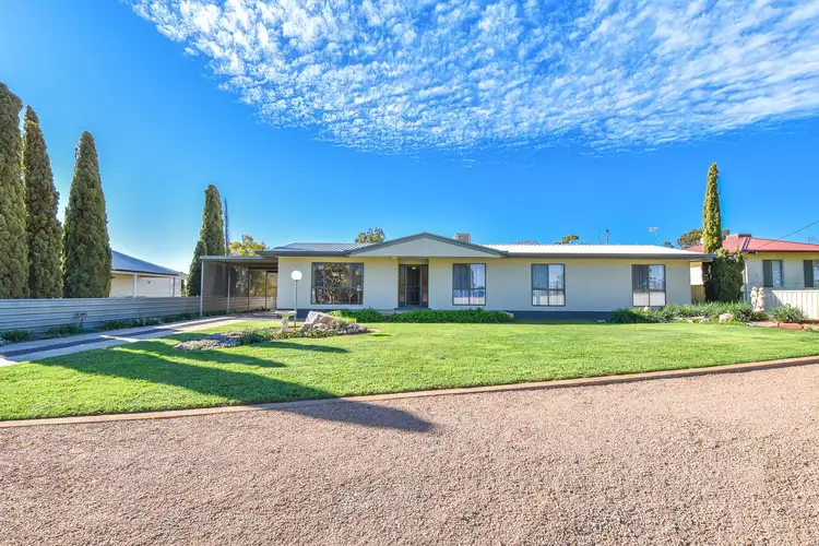 45 Arthur Street/11 Borgas Street, Booleroo Centre SA 5482