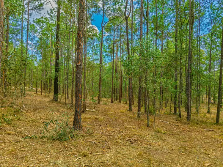 Seventh view of Homely land listing, Lot 739 Neerdie Road, Glenwood QLD 4570