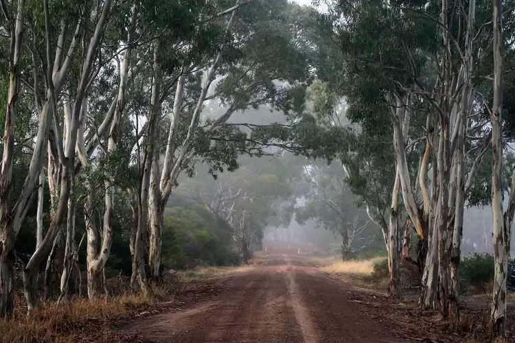 Fourth view of Homely land listing, 55 Rifle Range Road, Edenhope VIC 3318