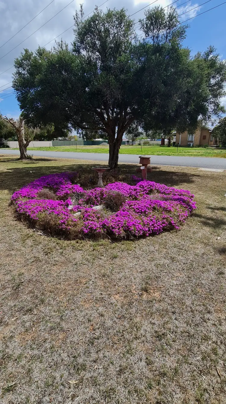 Sixth view of Homely house listing, 20 William Street, Berrigan NSW 2712