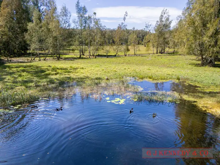 Third view of Homely rural property listing, 574 Stuarts Point Rd, Yarrahapinni NSW 2441