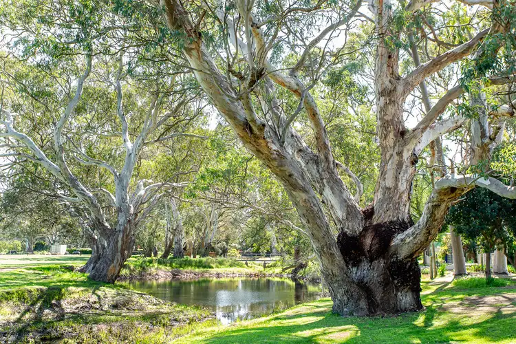 Fourth view of Homely house listing, 3 Dartmoor Cl, Naracoorte SA 5271