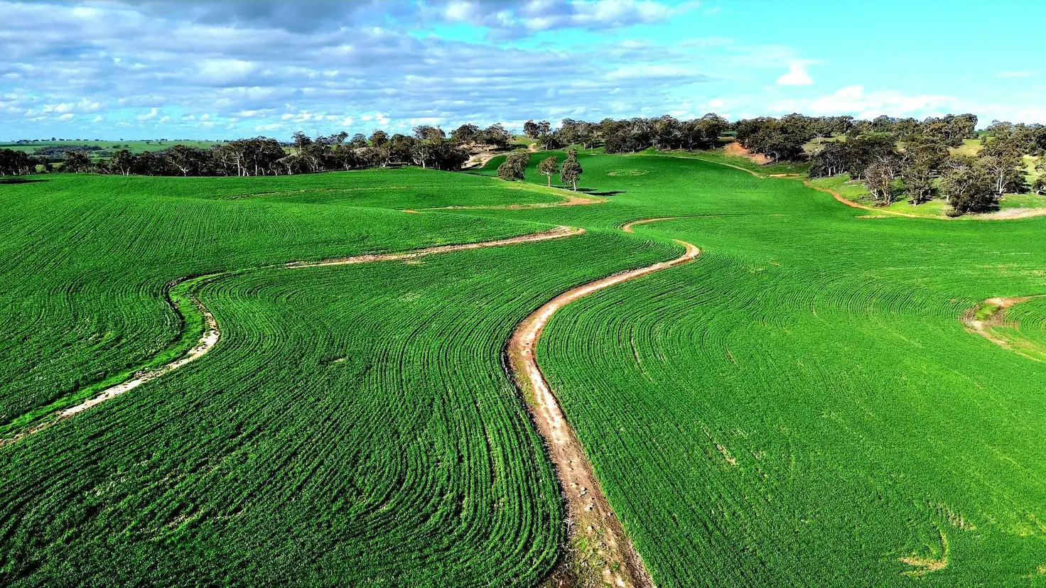 Main view of Homely land listing, 142 Dumbarton Rd, Dumbarton WA 6566