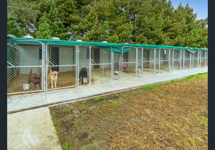Fourth view of Homely rural property listing, 141 Ingliston-Settlement Road, Ingliston VIC 3342