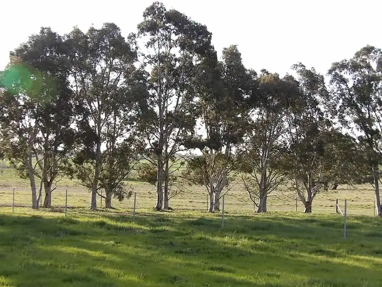 Seventh view of Homely land listing, 56A Hercules Street, Murrumbateman NSW 2582