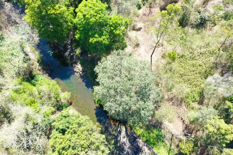 Fifth view of Homely rural property listing, Lot 8 O'Donnell Creek Road, Kyogle NSW 2474