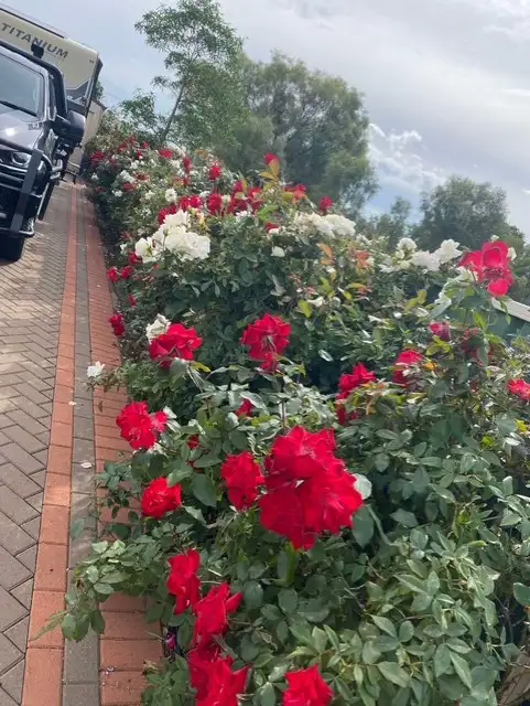 Second view of Homely house listing, 9 Box Place, Cobar NSW 2835