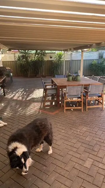 Third view of Homely house listing, 9 Box Place, Cobar NSW 2835