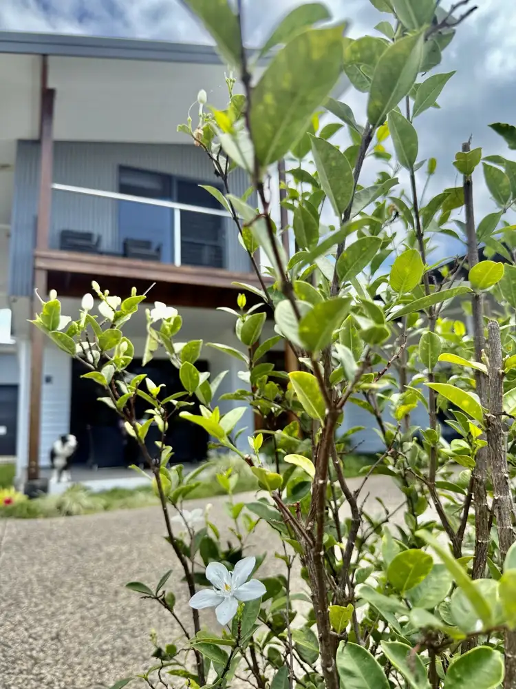 Second view of Homely house listing, 26 Porter Prom, Mission Beach QLD 4852