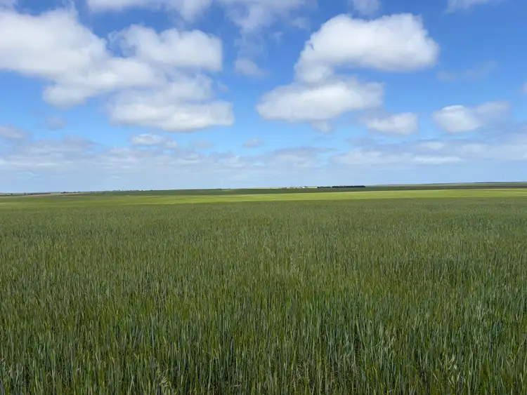 Second view of Homely rural property listing, "Wittow"/1826 Nalyappa Rd, Balgowan SA 5573