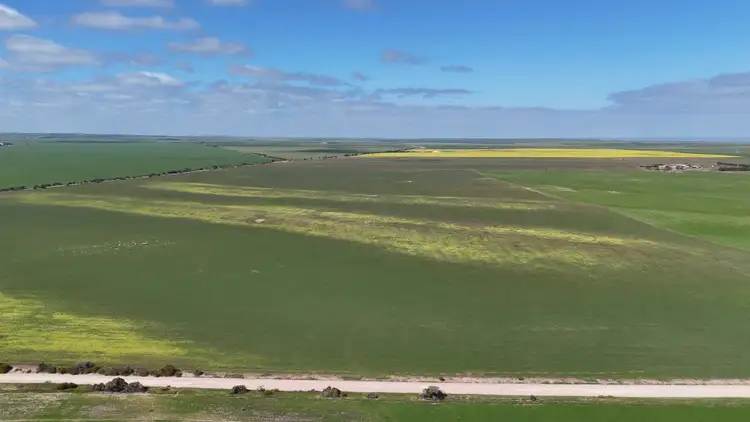 Sixth view of Homely rural property listing, "Wittow"/1826 Nalyappa Rd, Balgowan SA 5573