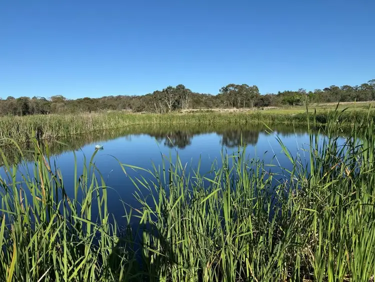 Third view of Homely land listing, LOT 1, 1065 Amiens Rd, Amiens QLD 4380