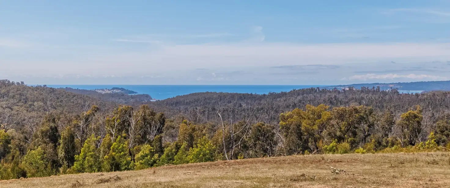 Main view of Homely land listing, 76 Silver Top Crescent, Nullica Via, Eden NSW 2551