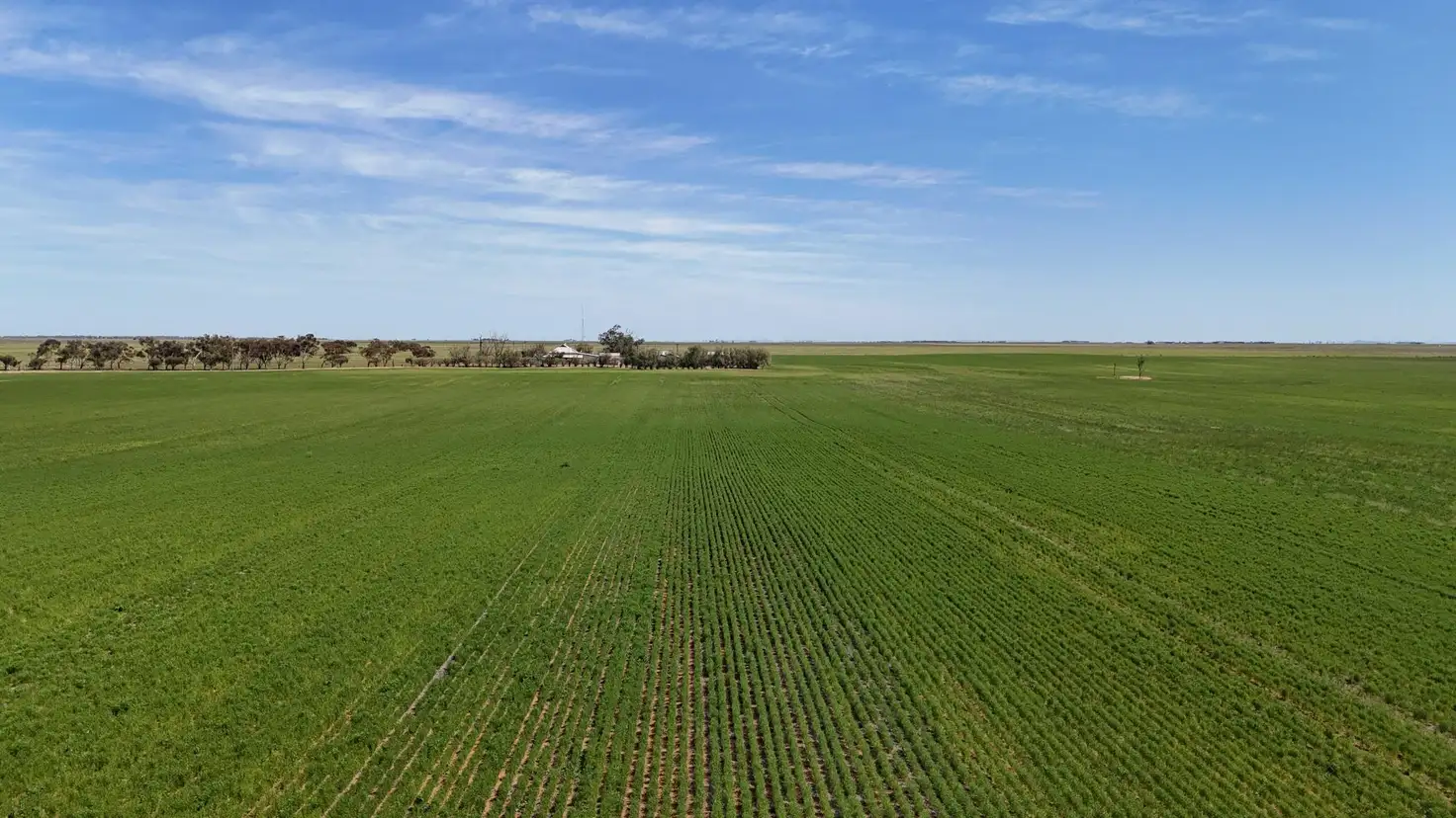 Main view of Homely rural property listing, 1266 Davis Rd, Pirie East SA 5540