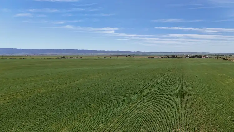 Third view of Homely rural property listing, 1266 Davis Rd, Pirie East SA 5540