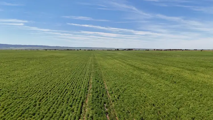 Fourth view of Homely rural property listing, 1266 Davis Rd, Pirie East SA 5540