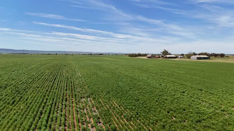 Fifth view of Homely rural property listing, 1266 Davis Rd, Pirie East SA 5540