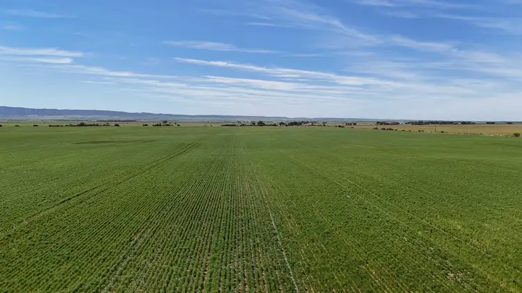 Seventh view of Homely rural property listing, 1266 Davis Rd, Pirie East SA 5540