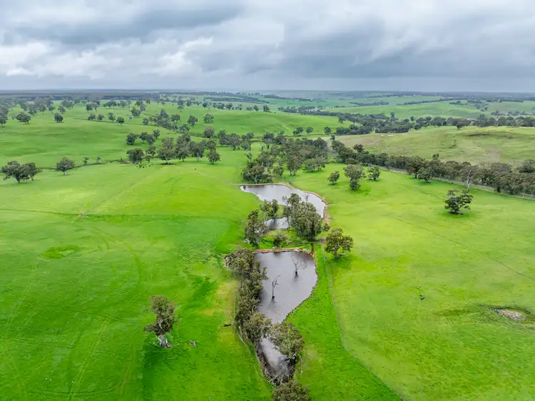 Main view of Homely rural property listing, 3155 Casterton-Edenhope Road, Chetwynd VIC 3312