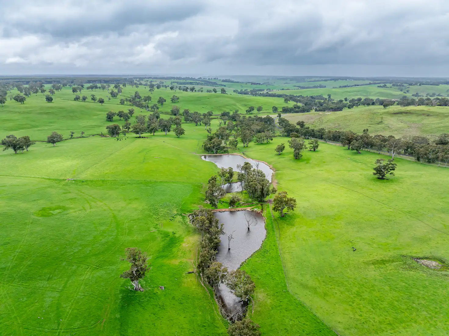 Main view of Homely rural property listing, 3155 Casterton-Edenhope Road, Chetwynd VIC 3312