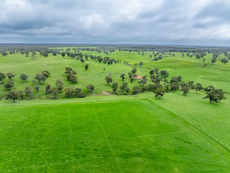 Second view of Homely rural property listing, 3155 Casterton-Edenhope Road, Chetwynd VIC 3312