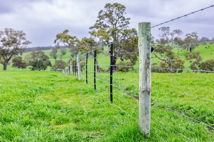 Fifth view of Homely rural property listing, 3155 Casterton-Edenhope Road, Chetwynd VIC 3312