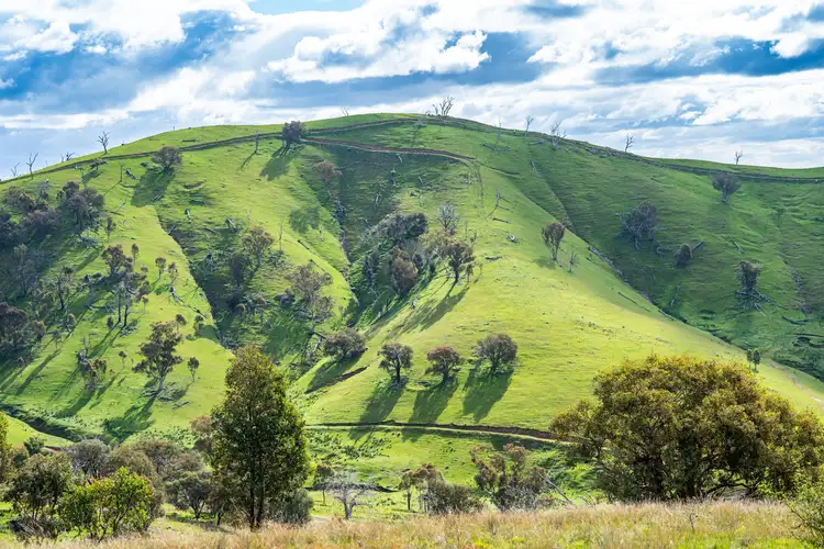 Third view of Homely rural property listing, . Packers Road, Bethanga VIC 3691