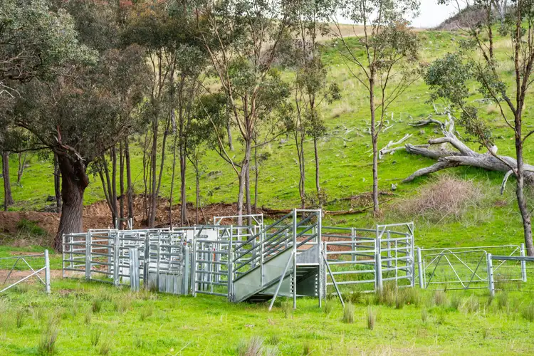 Fourth view of Homely rural property listing, . Packers Road, Bethanga VIC 3691