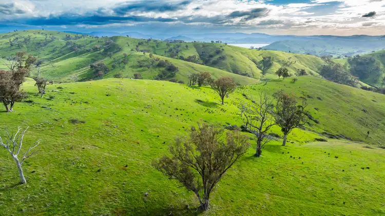Sixth view of Homely rural property listing, . Packers Road, Bethanga VIC 3691