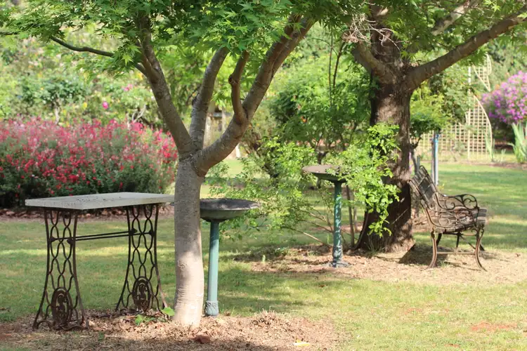 Third view of Homely rural property listing, 121 Orchard Place, Inverell NSW 2360