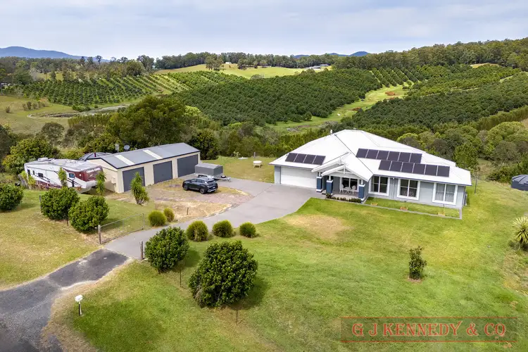 61 Peppertree Gr, Talarm NSW 2447