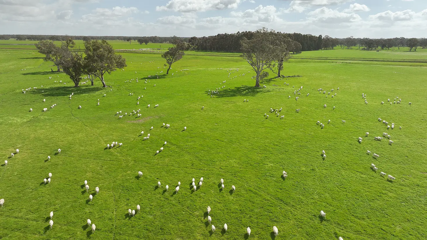 Main view of Homely rural property listing, 546 Bool Lagoon West Road, Penola SA 5277