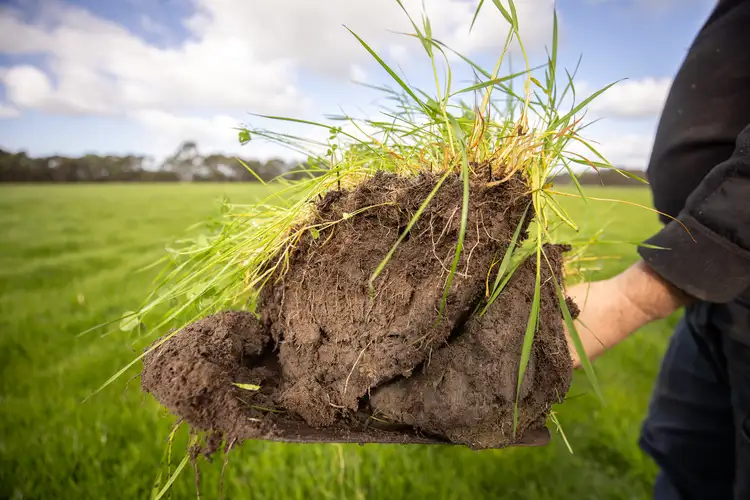 Sixth view of Homely rural property listing, 546 Bool Lagoon West Road, Penola SA 5277