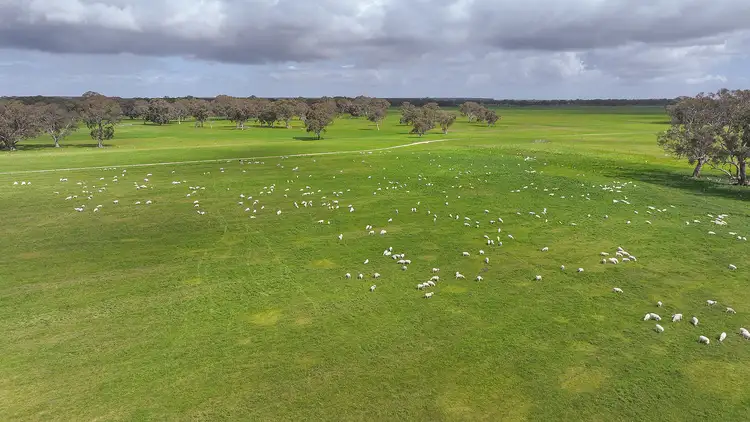 Seventh view of Homely rural property listing, 546 Bool Lagoon West Road, Penola SA 5277