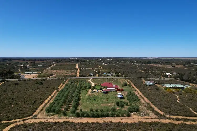 Second view of Homely house listing, 81 Paperbark Avenue, Gabbadah WA 6041