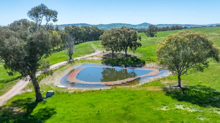 Third view of Homely rural property listing, 'High View'/778 Mountain Creek Road, Mullengandra NSW 2644
