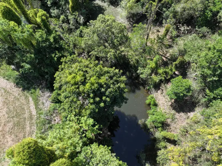 Sixth view of Homely rural property listing, 1050 Afterlee Rd, Eden Creek NSW 2474
