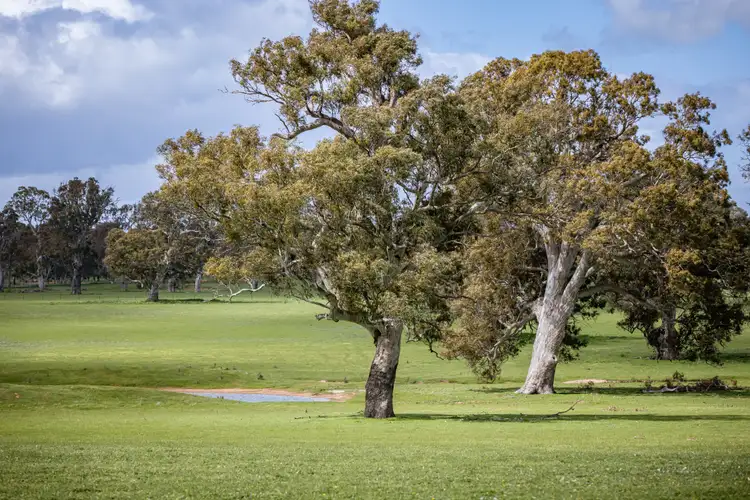 Third view of Homely rural property listing, 30 Armidale Rd, Coojar VIC 3315