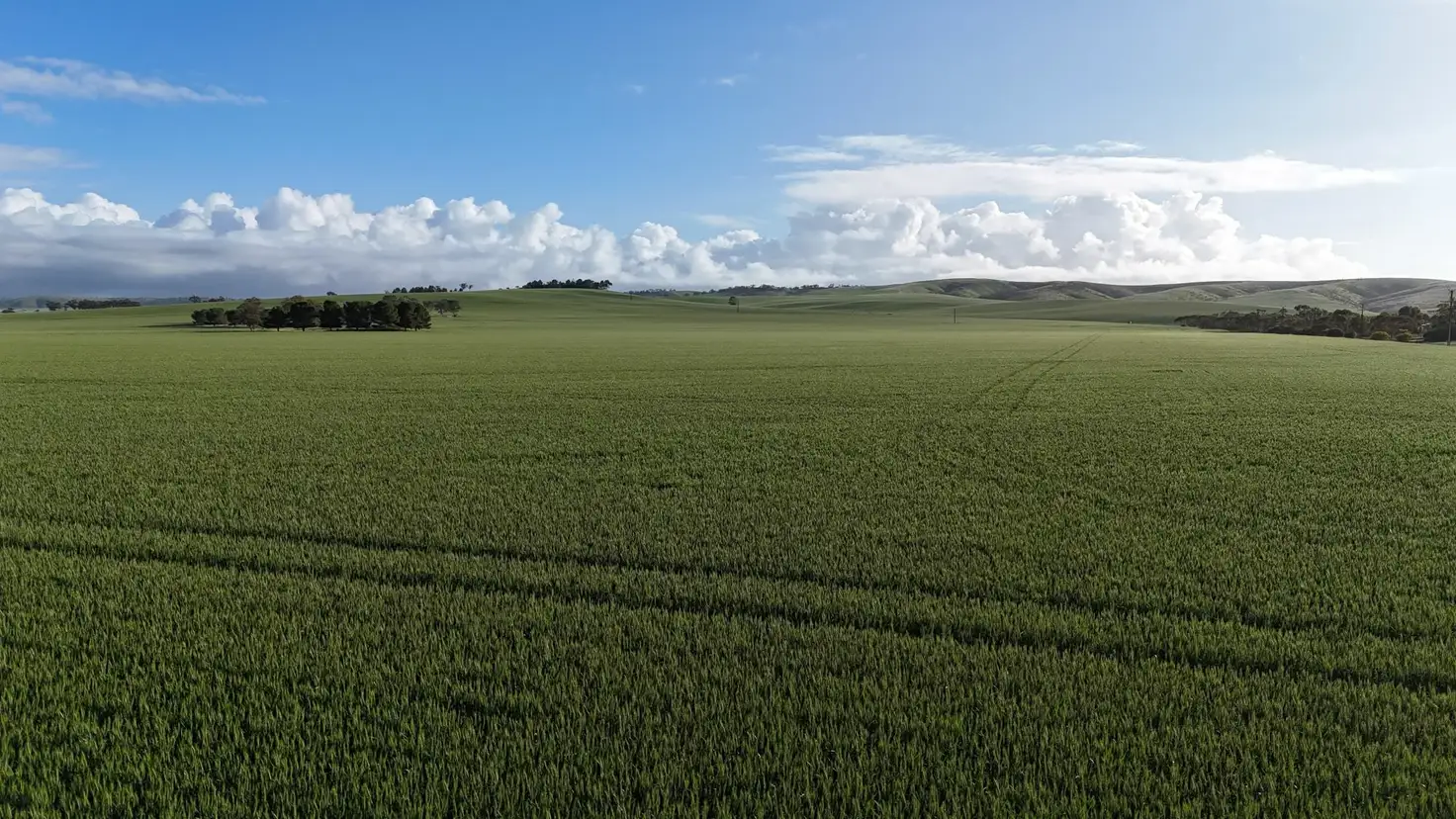 Main view of Homely rural property listing, 'Crystal Valley' Talbots Road, Crystal Brook SA 5523