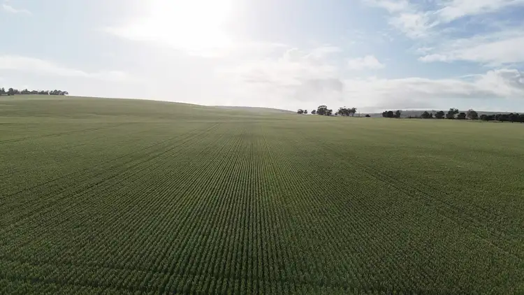 Second view of Homely rural property listing, 'Crystal Valley' Talbots Road, Crystal Brook SA 5523