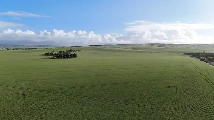 Third view of Homely rural property listing, 'Crystal Valley' Talbots Road, Crystal Brook SA 5523