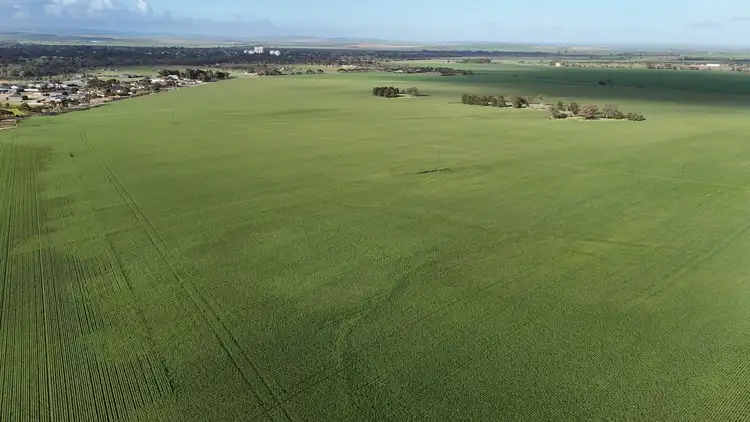 Fourth view of Homely rural property listing, 'Crystal Valley' Talbots Road, Crystal Brook SA 5523