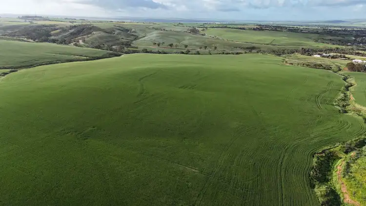 Fifth view of Homely rural property listing, 'Crystal Valley' Talbots Road, Crystal Brook SA 5523