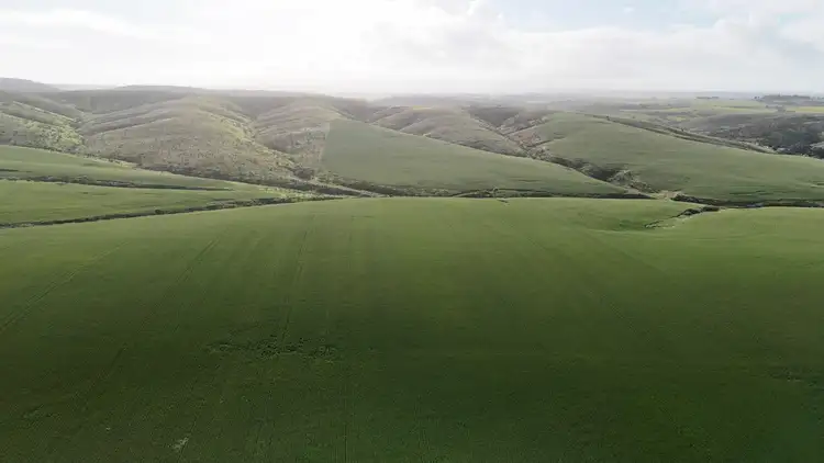 Sixth view of Homely rural property listing, 'Crystal Valley' Talbots Road, Crystal Brook SA 5523