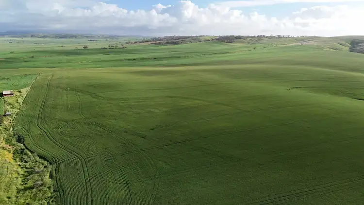 Seventh view of Homely rural property listing, 'Crystal Valley' Talbots Road, Crystal Brook SA 5523